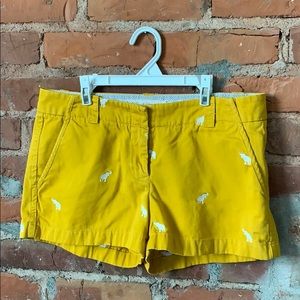 JCrew city for chino shorts, elephant print